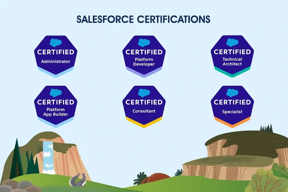 Salesforce Administrator vs. Developer Certifications: Which Path is Right for You?